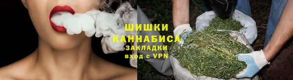 ГАЛЛЮЦИНОГЕННЫЕ ГРИБЫ Каменка