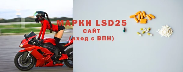 ГАЛЛЮЦИНОГЕННЫЕ ГРИБЫ Каменка