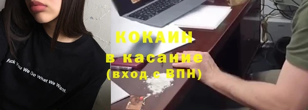 винт Инсар