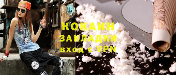 ГАЛЛЮЦИНОГЕННЫЕ ГРИБЫ Каменка