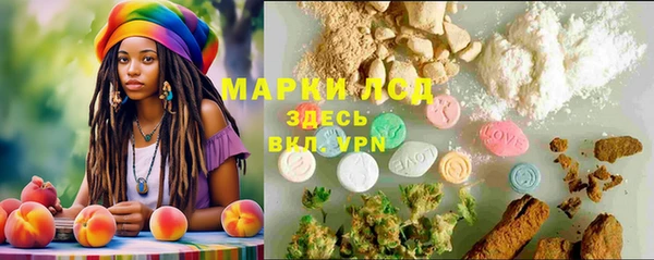 ГАЛЛЮЦИНОГЕННЫЕ ГРИБЫ Каменка