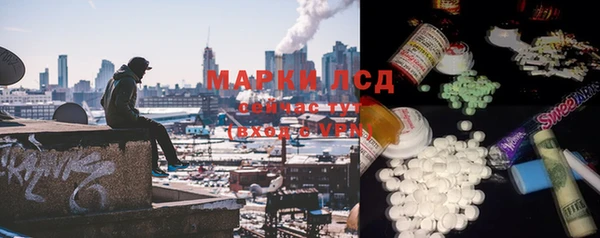 винт Инсар