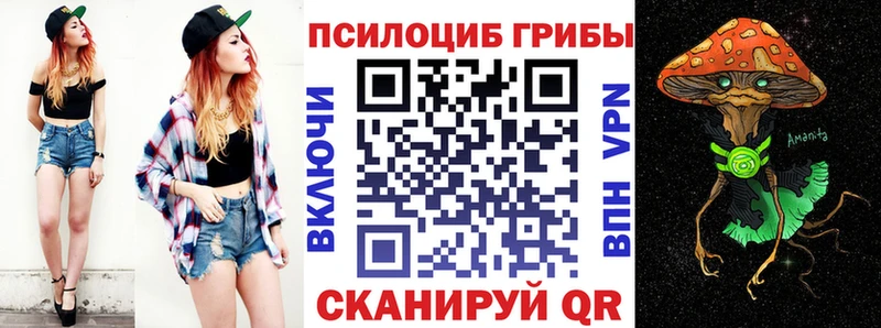 darknet Telegram  Кизилюрт  Галлюциногенные грибы MAGIC MUSHROOMS 