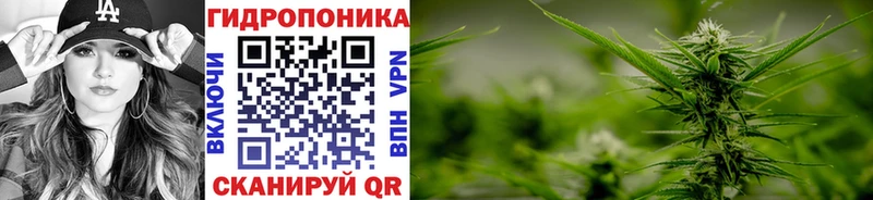 Бошки Шишки индика  закладка  Кизилюрт 
